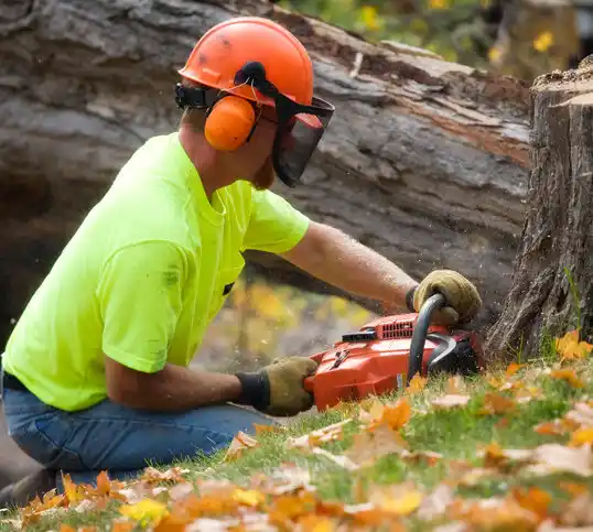 tree services Cooperstown